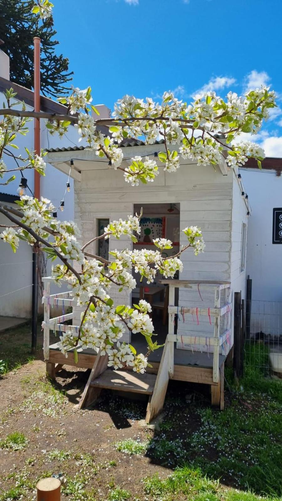 Appartamento Hol Gok Patagonia Esquel Esterno foto